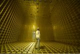 First particle tracks seen in prototype for international neutrino experiment