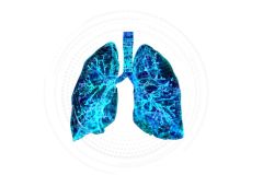 Dynamic 3D imaging for lung monitoring